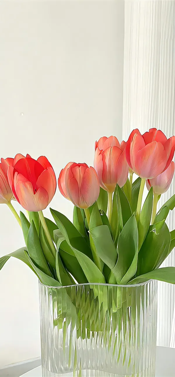 hình nền điện thoại hoa tulip màu cam