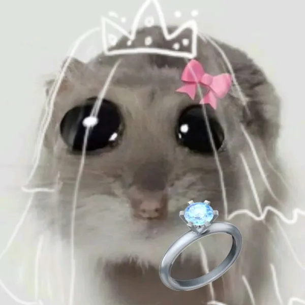 hamster meme chế cute 