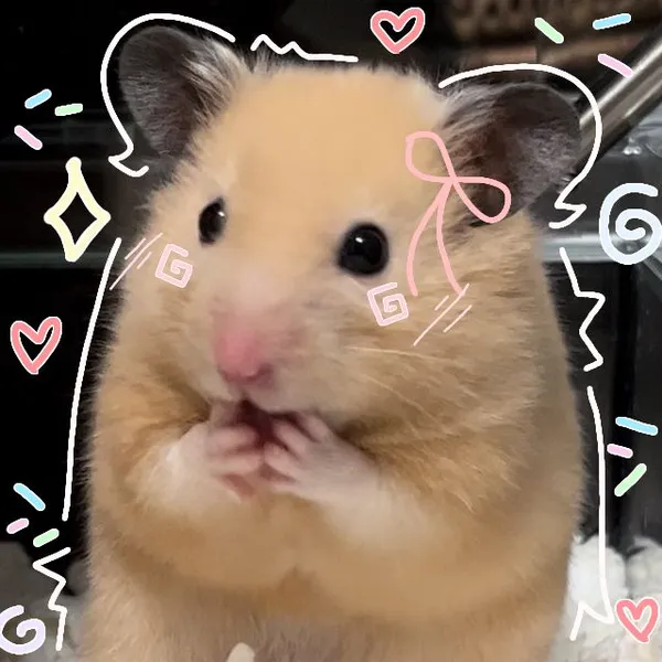 hamster meme cute nhất 