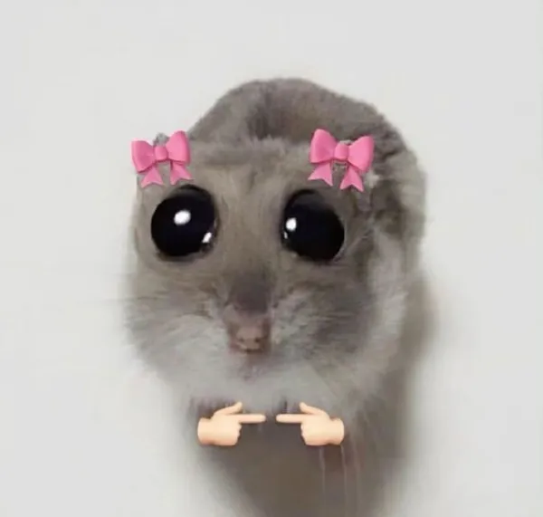 hamster meme cute