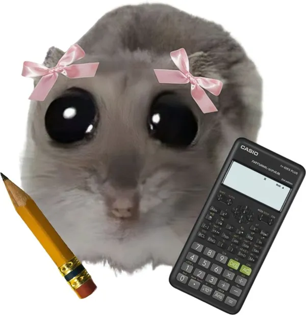 hamster meme học tập 