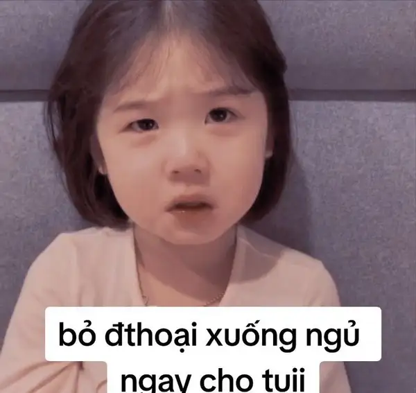 meme good night hài hước 