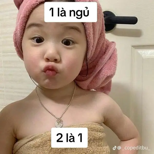 meme good night nhờn 