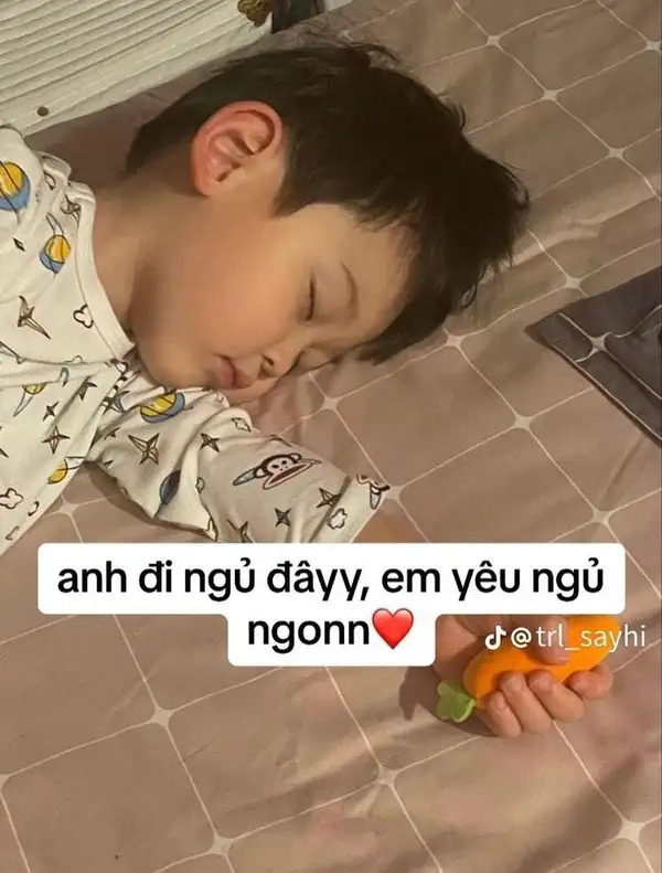 meme good night chế