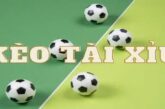 Kèo tài xỉu – Chia sẻ mẹo soi kèo chuẩn xác nhất cho bet thủ
