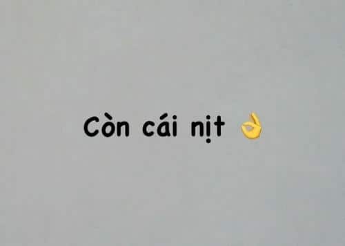 meme có cái nịt 19