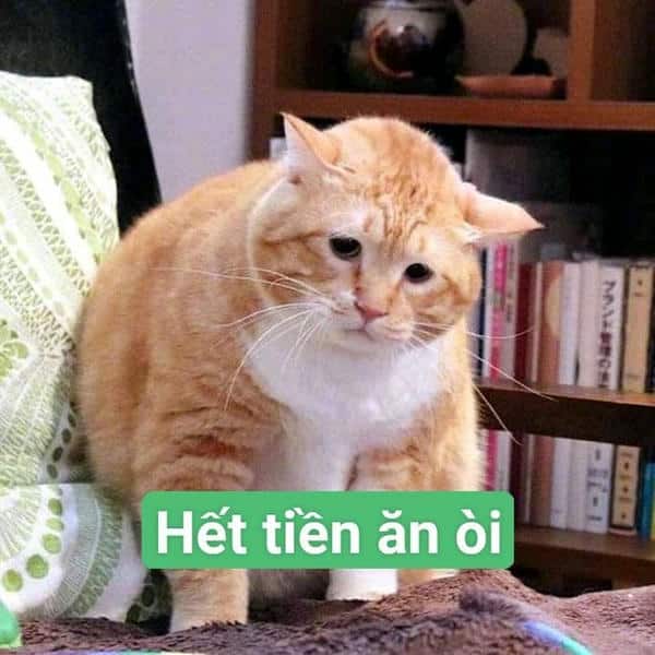 meme hết tiền 13
