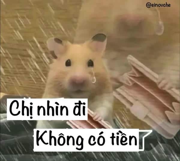 meme hết tiền 5