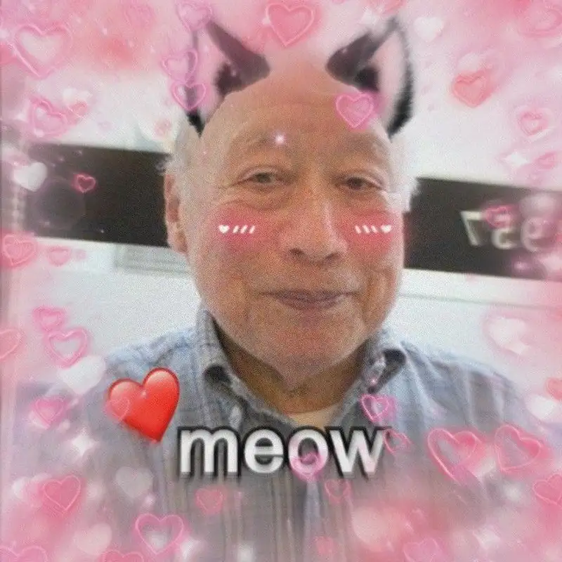 ảnh tokuda meow
