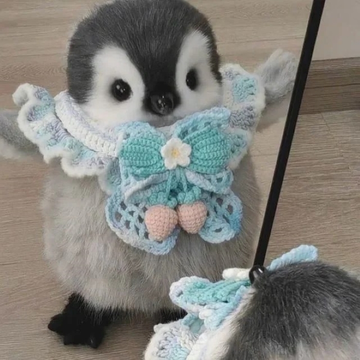 Avatar cánh cụt cute dễ thương
