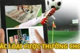 Kinh Nghiệm Và Hướng Dẫn Chơi Cá Cược Bàn Thắng Từ A-Z 