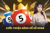 Giải Mã Xổ Số NH88 – Bí Quyết Để Trở Thành Cao Thủ Dự Đoán