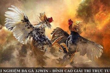 Trải Nghiệm Đá Gà 32WIN – Đỉnh Cao Giải Trí Trực Tuyến