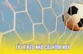 Top 6 Tỷ Lệ Kèo Nhà Cái Hôm Nay Phổ Biến Nhất Tại Châu Á