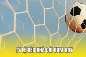 Top 6 Tỷ Lệ Kèo Nhà Cái Hôm Nay Phổ Biến Nhất Tại Châu Á