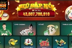 Nhà Cái Uy Tín New88 – Cá Cược An Toàn, Rút Tiền Siêu Nhanh
