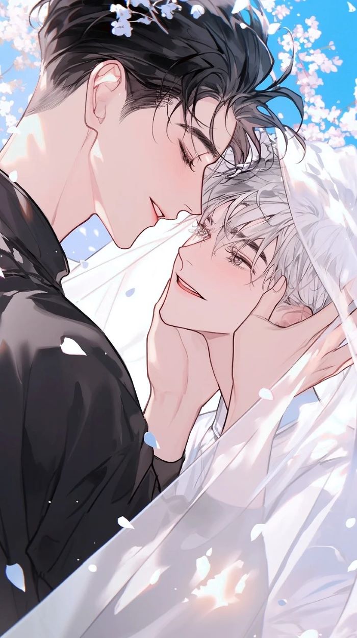 Anime Đam Mỹ 