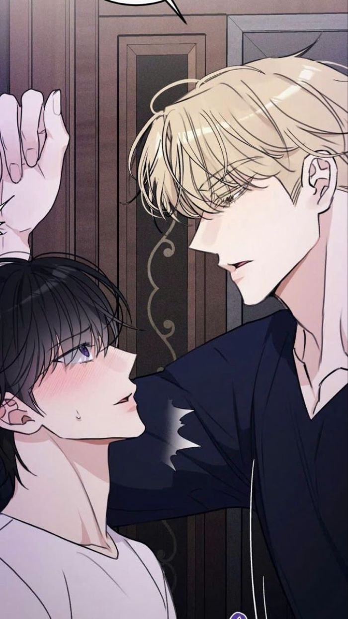 Anime Đam Mỹ 10