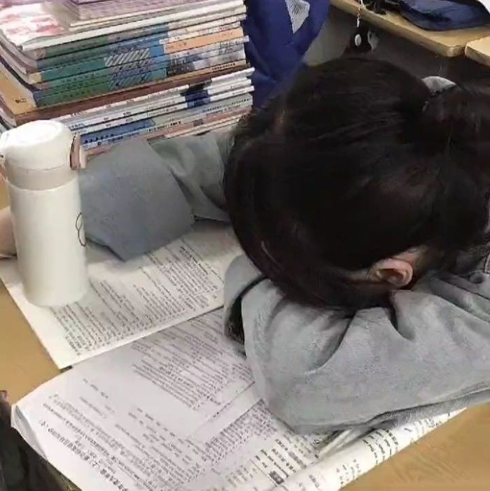 hình ảnh học bài 12