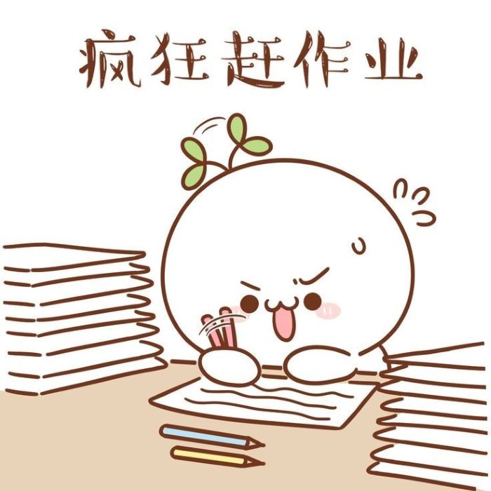 hình ảnh học bài 22