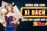 Hướng dẫn chơi Xì Dách dành cho người mới tại ST666