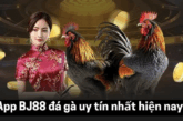App BJ888 đá gà: Sân chơi lý tưởng cho cược thủ mê đá gà