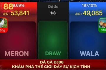 Đá Gà BJ88 – Khám Phá Thế Giới Đầy Sự Kịch Tính