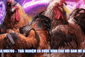 Đá Gà VND789 – Trải Nghiệm Cá Cược Đỉnh Cao Với Đam Mê Đá Gà