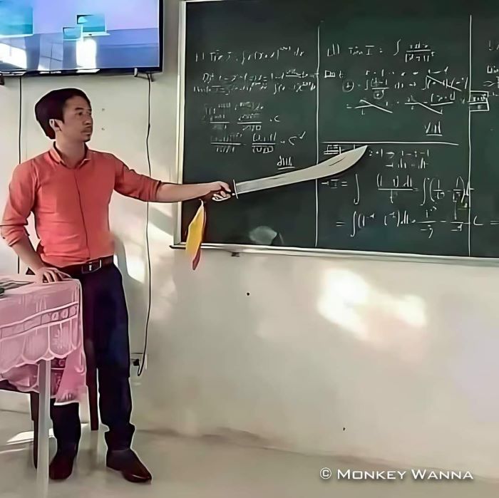 ảnh phóng lợn 1