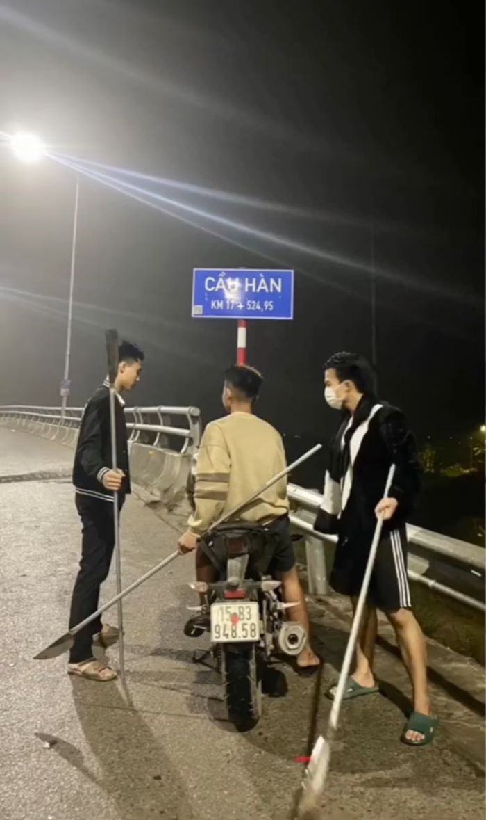 ảnh phóng lợn 11