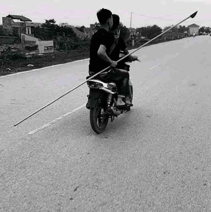 ảnh phóng lợn 12