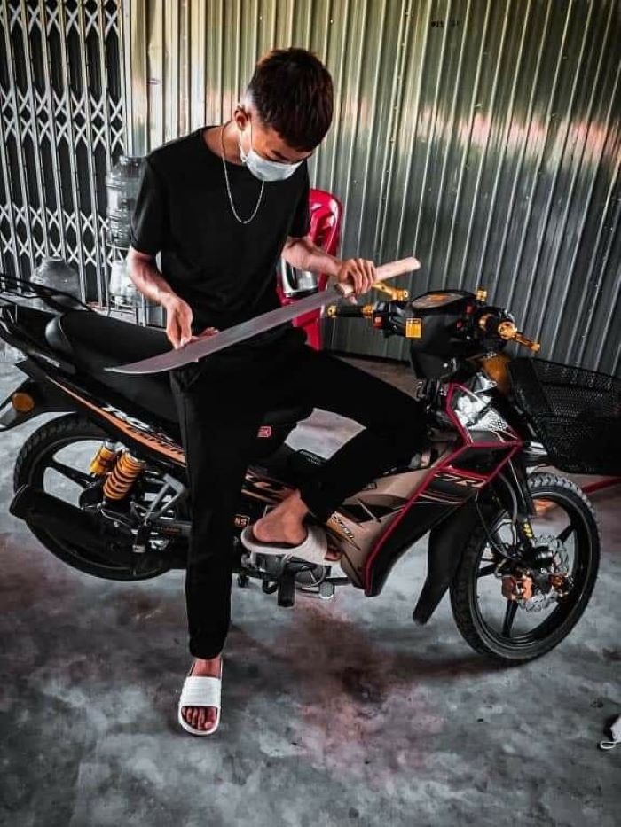 ảnh phóng lợn 13