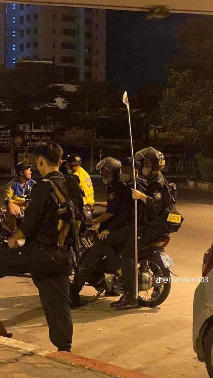 ảnh phóng lợn 15