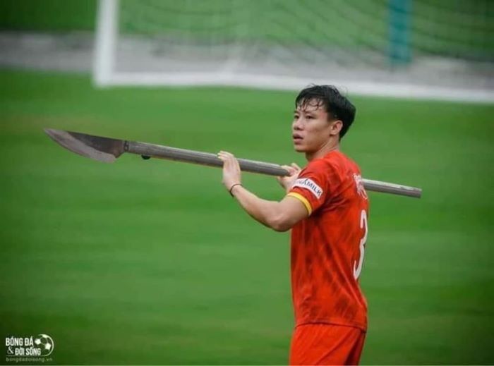 ảnh phóng lợn 17
