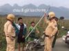Tổng hợp 88+ ảnh phóng lợn bá đạo nhất mạng xã hội
