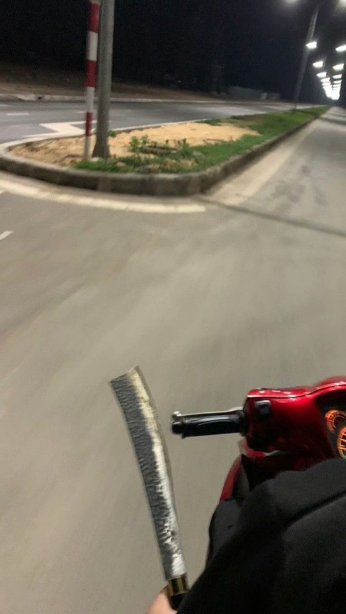 ảnh phóng lợn 3
