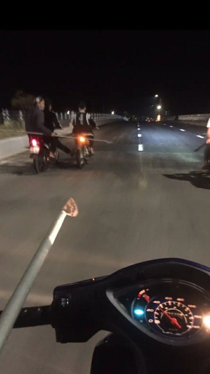 ảnh phóng lợn 5