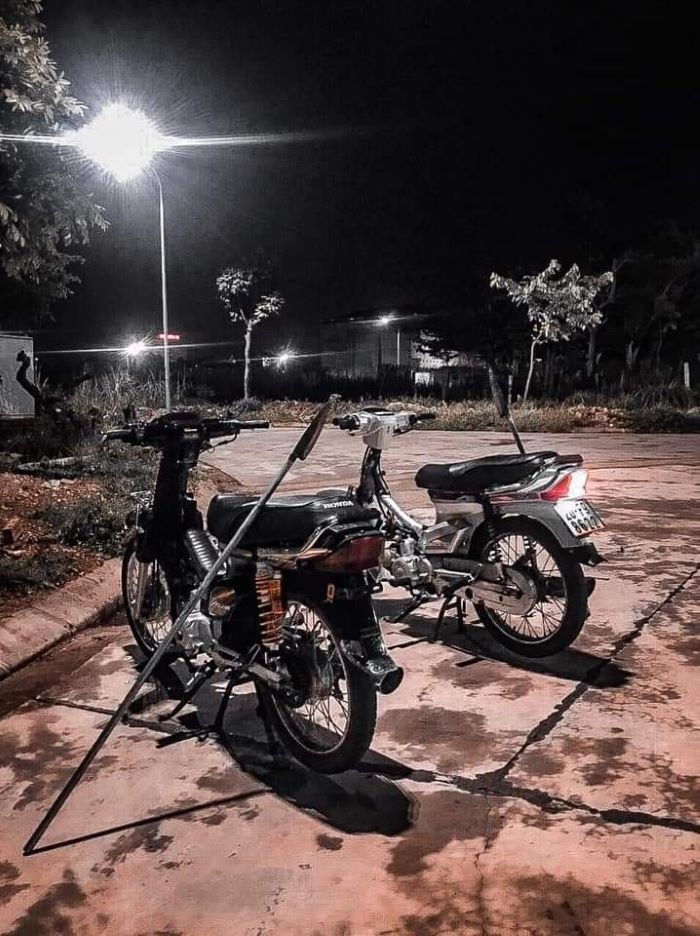 ảnh phóng lợn 7