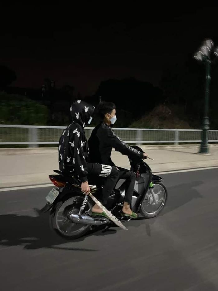 ảnh phóng lợn 8