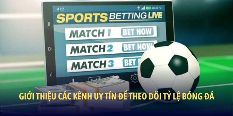 Giới thiệu các kênh uy tín để theo dõi tỷ lệ bóng đá