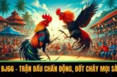 Đá Gà BJ66 – Trận Đấu Chấn Động, Đốt Cháy Mọi Sàn Đấu