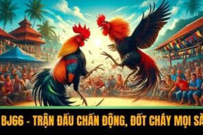 Đá Gà BJ66 – Trận Đấu Chấn Động, Đốt Cháy Mọi Sàn Đấu