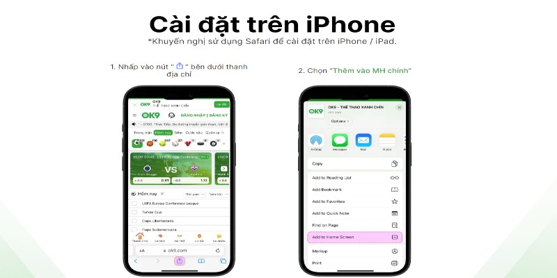 cài đặt app Ok9 ios
