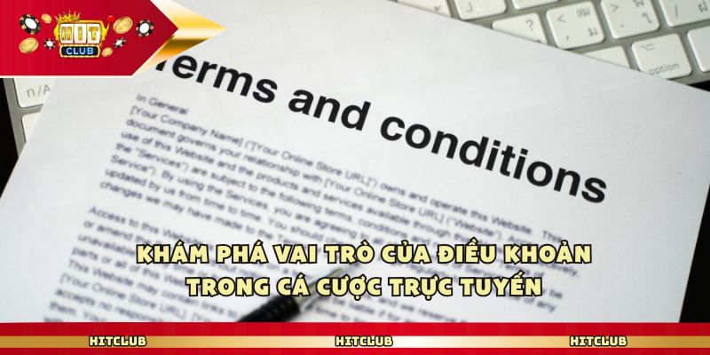 Khám phá vai trò của điều khoản trong cá cược trực tuyến