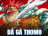 Sàn Đá Gà Thomo Uy Tín – Lựa Chọn An Toàn Cho Dân Cá Cược