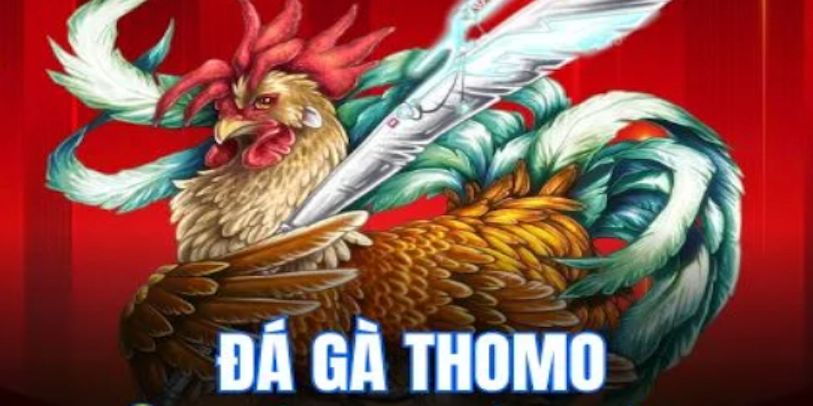 Làm sao để kiểm tra thông tin pháp lý của sàn đá gà?