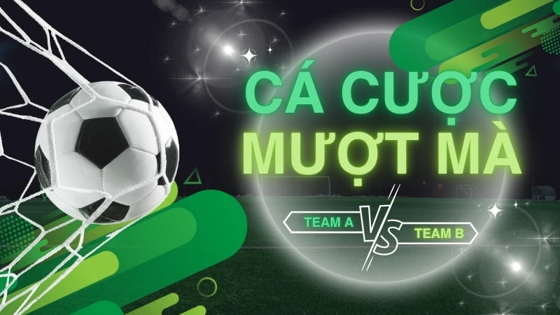 Thống kê bàn thắng hiệp 1 từ các giải đấu lớn tại Winvn.