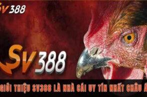 Giới Thiệu SV388 – Nền Tảng Cá Cược Chuyên Nghiệp Dành Cho Tín Đồ Gà Đòn