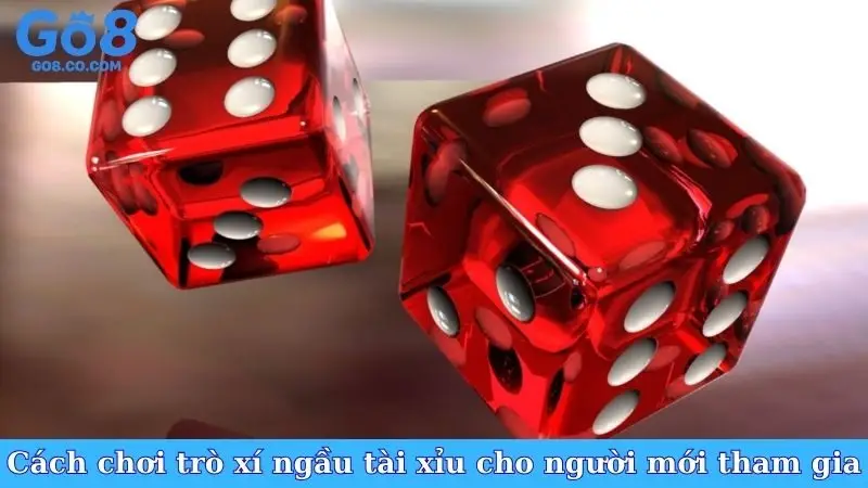 cach-choi-tro-xi-ngau-tai-xiu-cho-nguoi-moi-tham-gia