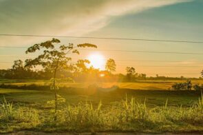 Ảnh Sáng Ngược – Nghệ Thuật Sử Dụng Ánh Sáng Để Tạo Hiệu Ứng